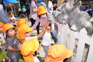 えさをあげました えさをあげました