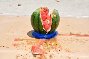 割れた!! 割れた!!