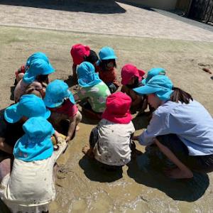 いぇーい いぇーい