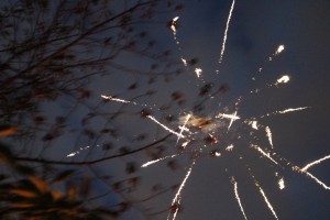 花火2 花火2