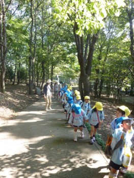 飯高山の遊歩道