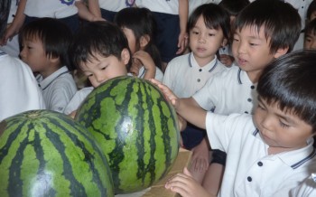 う~ん、きれいな模様だな~。 う~ん、きれいな模様だな~。