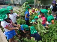 それも大きいね! それも大きいね!