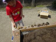 どっちが多い? どっちが多い?