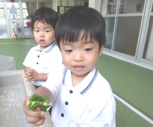 きれいに洗ったよ きれいに洗ったよ