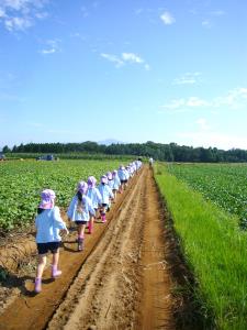 青空の下、お芋収穫へ! 青空の下、お芋収穫へ!