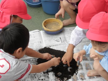 さわってみよう! さわってみよう!