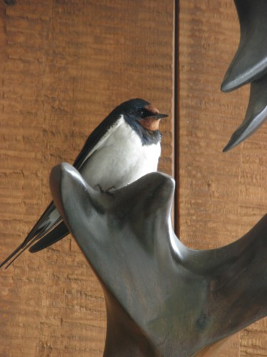 近くによっても逃げません。 近くによっても逃げません。