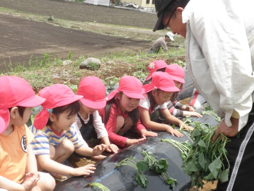 おおきくなってね! おおきくなってね!