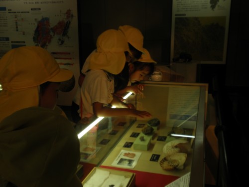 貝の化石だ! 貝の化石だ!