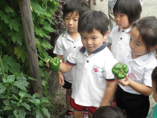 大収穫・・・!! 大収穫・・・!!