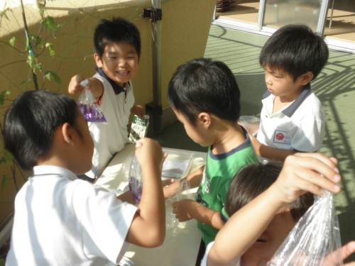 色が変わっていくよ・・・! 色が変わっていくよ・・・!