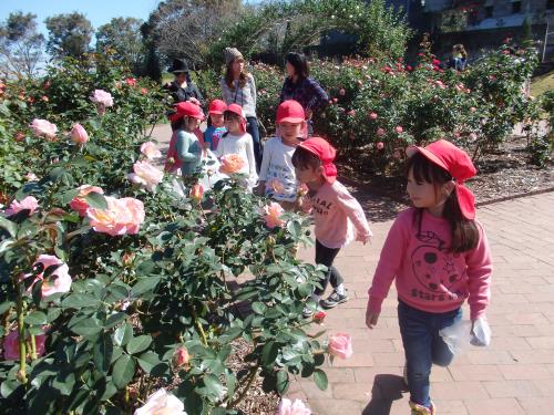 バラのいい香りに誘われて・・・。 バラのいい香りに誘われて・・・。