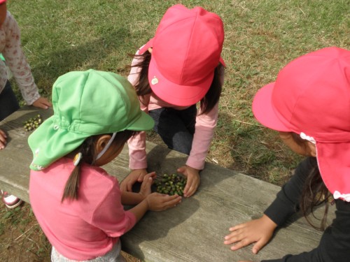 秋を見つけたよ! 秋を見つけたよ!