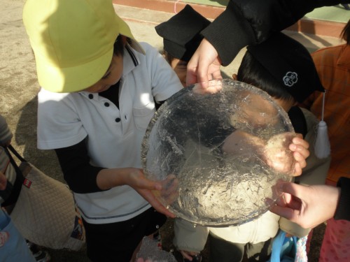 大きくて分厚い氷だよ! 大きくて分厚い氷だよ!