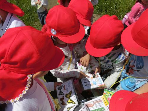 この花の名前は何だろう? この花の名前は何だろう?