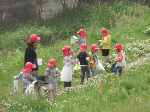 どんな草花やいきものがいるかな どんな草花やいきものがいるかな