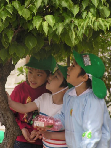 いた!いた! いた!いた!