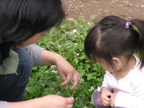 ママと引っぱりっこ ママと引っぱりっこ