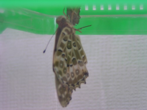 生まれたよ! 生まれたよ!