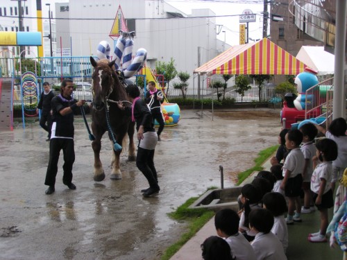 おうまさん大きいね! おうまさん大きいね!