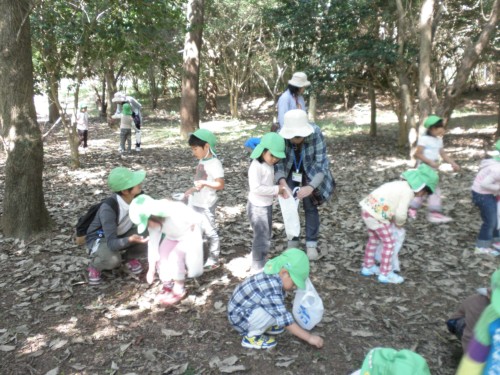 どんぐりみいつけた どんぐりみいつけた