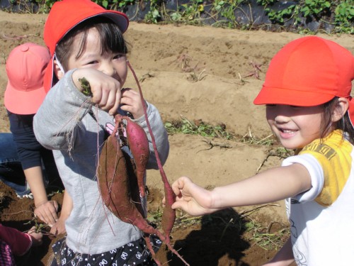 ちびいもちゃんもついてるねー ちびいもちゃんもついてるねー