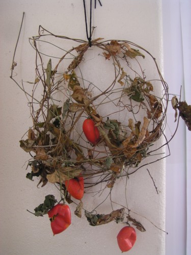 いただいた『からすうり』 いただいた『からすうり』