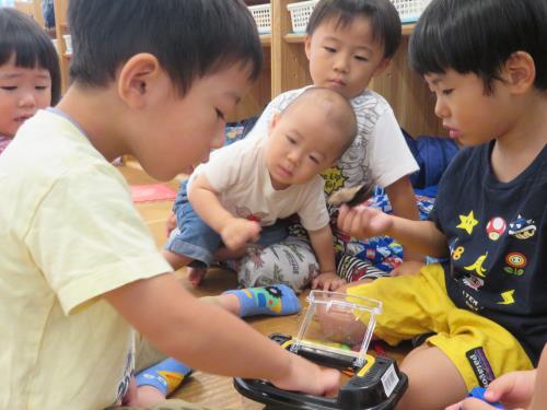 カブトムシ大きいね。 カブトムシ大きいね。