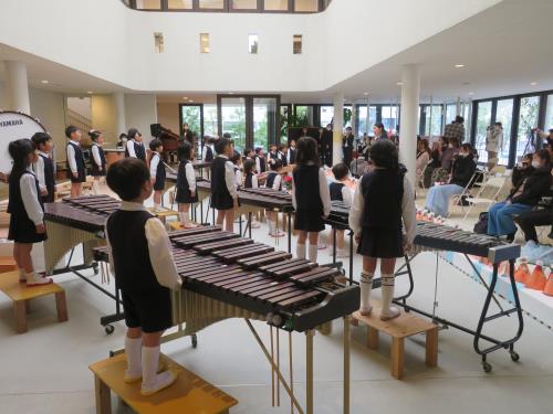 背面を覗いてみると・・・ 背面を覗いてみると・・・