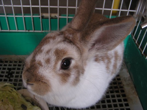 もうすぐお仕事が終わります! もうすぐお仕事が終わります!