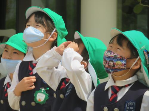 視線の先には・・・? 視線の先には・・・?