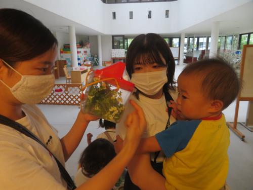 あれ、なんだろう? あれ、なんだろう?