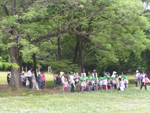 初夏の濃い緑の中『自然観察』 初夏の濃い緑の中『自然観察』
