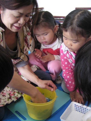 わぁー! わぁー!