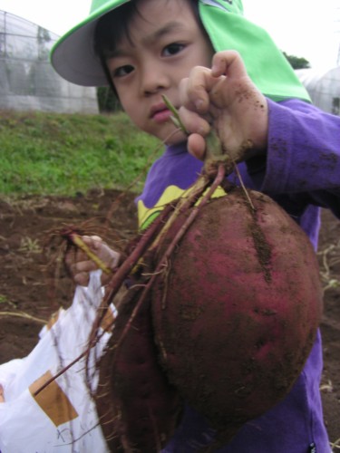 「おもたいよー」持ち上げるのも一苦労です。 「おもたいよー」持ち上げるのも一苦労です。