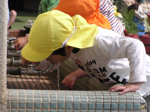 自分で気付いて水を飲みながら遊んでいます。 自分で気付いて水を飲みながら遊んでいます。