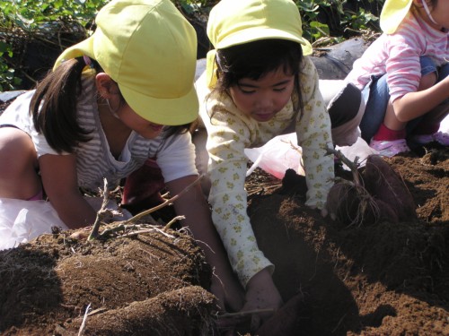 「まだ中にあるね。手伝ってあげるよ。」 「まだ中にあるね。手伝ってあげるよ。」