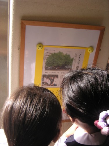 大イチョウ100歳の新聞に目を向ける子ども達 大イチョウ100歳の新聞に目を向ける子ども達