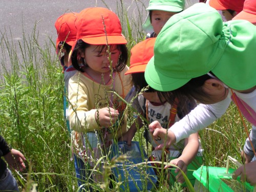 とった! とった!