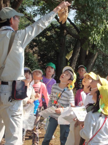 これはなんでしょう? これはなんでしょう?