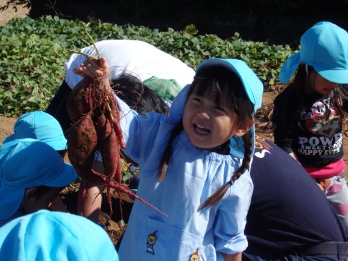 せんせーいほれたよ! せんせーいほれたよ!