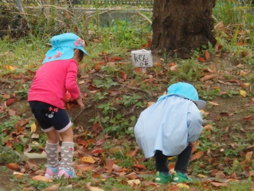 落ち葉を見つけました。「いろいろな色があるね。」 落ち葉を見つけました。「いろいろな色があるね。」