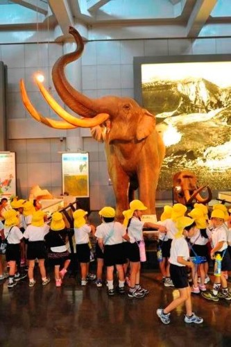 大昔、象さんもでっかいな~。 大昔、象さんもでっかいな~。