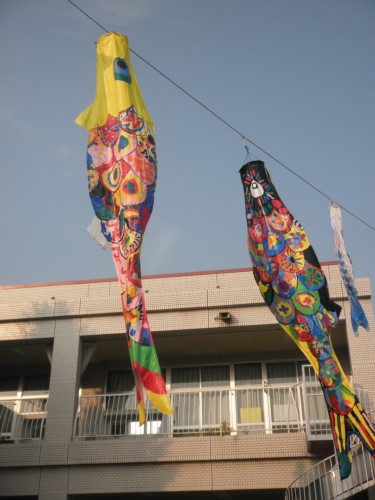 年長 こいのぼり 年長 こいのぼり