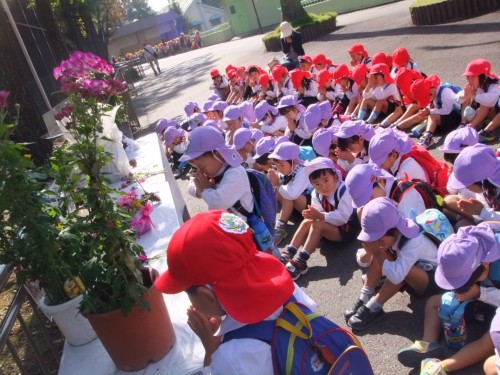 ライオンさん、今までありがとう… ライオンさん、今までありがとう…