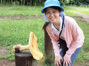 大きなきのこ発見 大きなきのこ発見