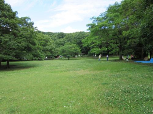 美しい立田山 美しい立田山