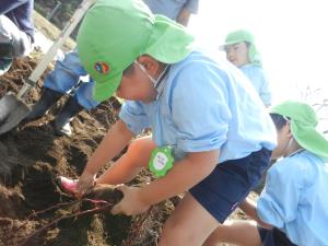 もうすぐ掘れそうだな。 もうすぐ掘れそうだな。