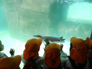 ペンギンがいたね。 ペンギンがいたね。